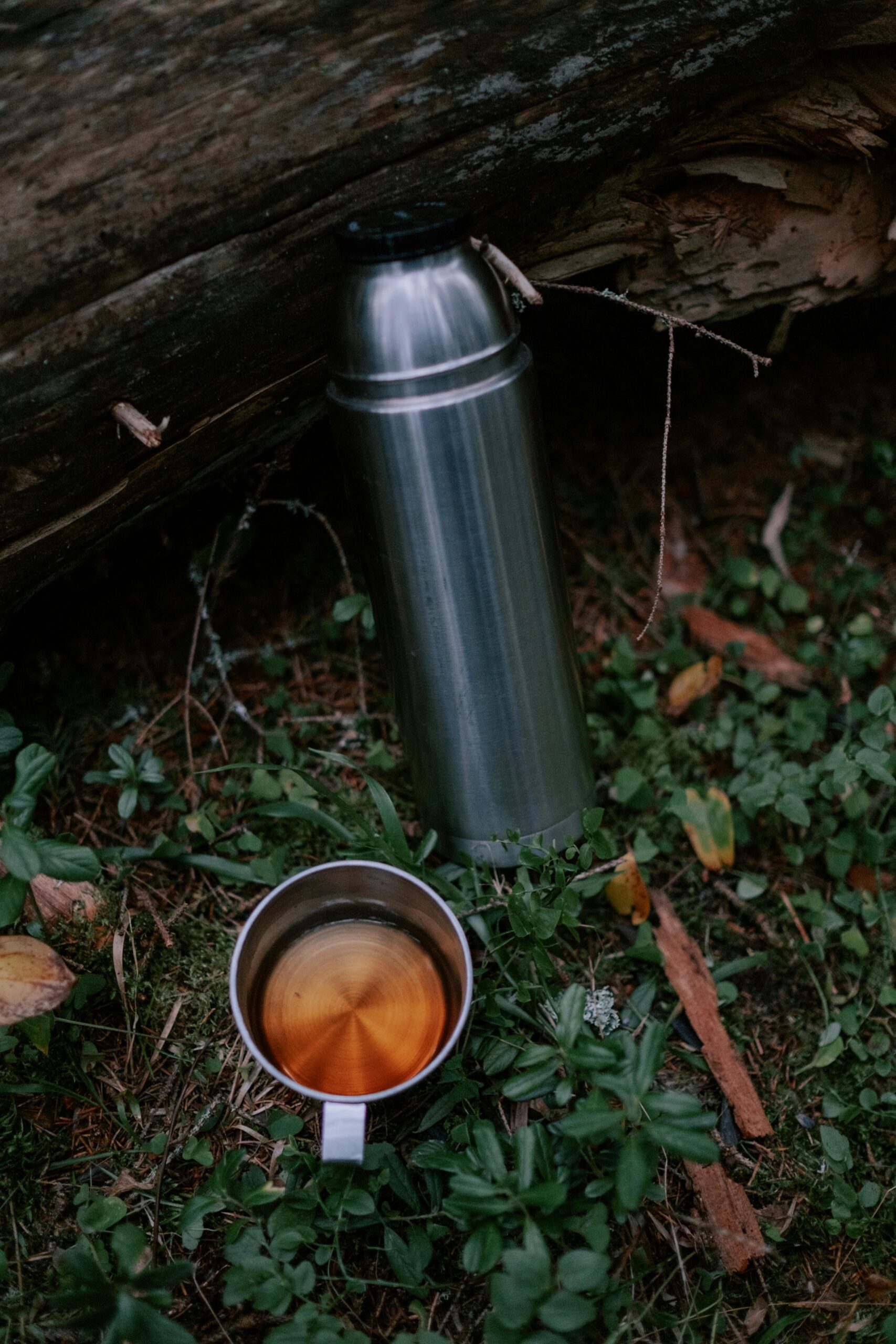 Thermosflasche steht im Wald